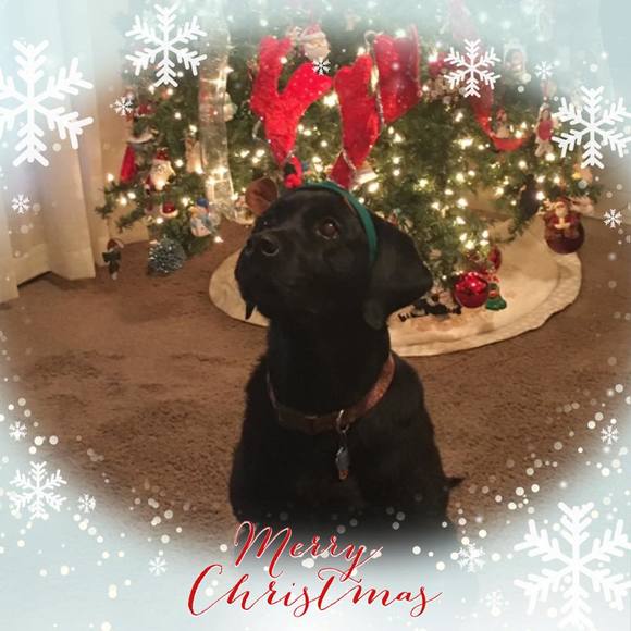 Meet your Posher, Renee - Picture 1 of 1